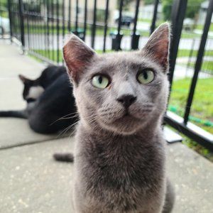 Meet your Posher, Tristan